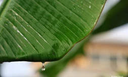 Goutte d'eau et pluie