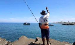Navire de migrants Sri-Lankais