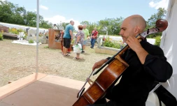 Toussaint musicale à Saint-Denis
