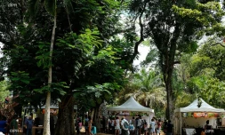 Marchés producteurs