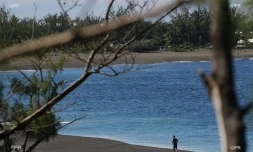 Plage Etang-Salé