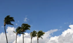 Météo Réunion