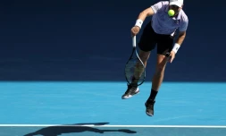 Open d'Australie: La voie se dégage pour Djokovic