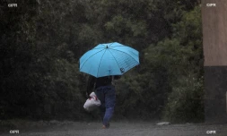 météo réunion