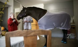 La jument Dounka rend visite à une pensionnaire de la Maison d'accueil et de résidence pour l'autonomie (Marpa) d'Ornans, le 25 mars 2023 au sud de Besançon ( AFP / SEBASTIEN BOZON )