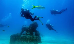 Au large de la Floride, un cimetière sous-marin utile à la faune aquatique