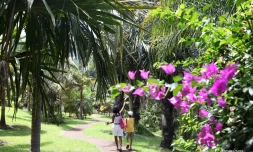 fleurs et jardins