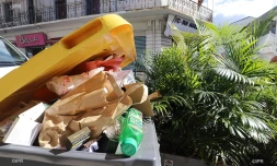 poubelles