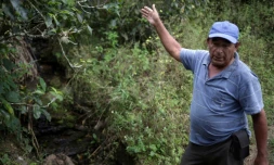 Les avocats, gourmandise du Super Bowl, fruits de la discorde en Colombie