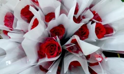 Saint-Valentin - Marché peï - Jardin de l'Etat