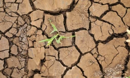 Sécheresse