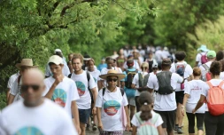 Marche pour la planete