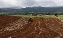 agriculture
