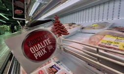 noël bouclier qualité prix