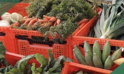 Légumes - fruits - Département - Marché bio péi