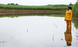 Des agriculteurs impactés par les fortes intempéries dans l'est