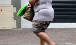 Obésité
