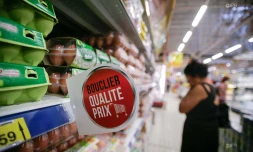 bouclier qualité prix