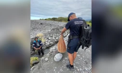 La gendarmerie contrôle les pêcheurs de bichique