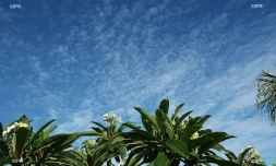 météo réunion