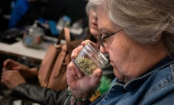 Le Missouri, nouvel eldorado du cannabis dans le Midwest américain