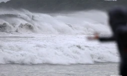 Cyclone Freddy