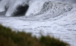 Cyclone Freddy