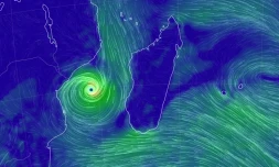 cyclone Freddy