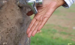 eau