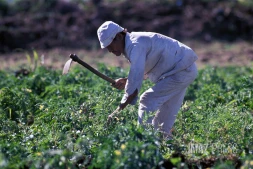 Agriculteur 