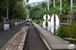 La Région Réunion commémore les 80 ans de la départementalisation