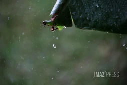 pluie