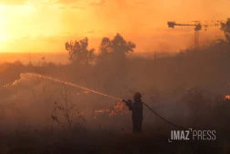 Dash 8 pour Feu de broussailles à Savannah Saint-Paul