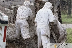 Au Texas, un camion transportant deux millions d’abeilles se renverse et provoque leur dispersion