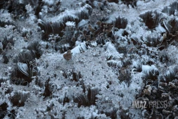 Hiver austral : i fé fré dann lé o La Rényon [?]