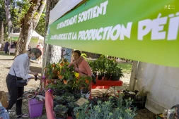 Le Département organise un marché Péi au Jardin de l'Etat