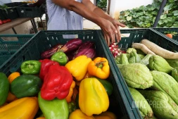 précarite alimentaire 