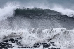 Houle - Saint-Paul - Février 2026