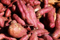 patates douce 