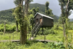 Développer sans détruire : le défi du tourisme durable à La Réunion