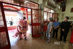 nouvel an chinois , annee du cheval de feu