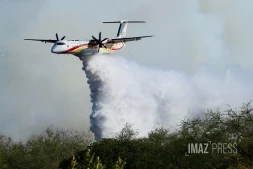 Dash 8 pour Feu de broussailles à Savannah Saint-Paul
