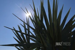 parc de la trinite , coeur vert familial 