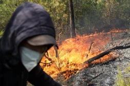 Un agent forestier lutte contre un incendie de forêt dans une zone montagneuse près de la ville d’El Hachimia (Algérie), le 21 juillet 2026. AFP 