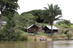 Dans le village d'Elahe, au coeur du parc national amazonien de Guyane, d'Amérindiens vivant au bord du fleuve Maroni, le 13 mars 2007. JODY AMIET/AFP