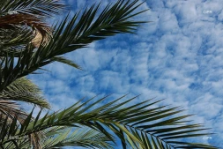 météo ciel nuageux