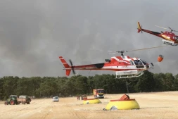 Les pompiers combattent l'incendie de la forêt de Fontainebleau, le 13 juillet 2026. (