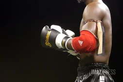 muay thai