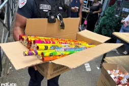 Vente de pétards et feux d'artifices 