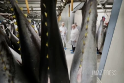 Thierry Marx et comités des pêches 